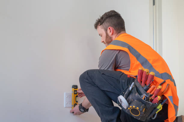 Best Electric Panel Repair  in Streamwood, IL